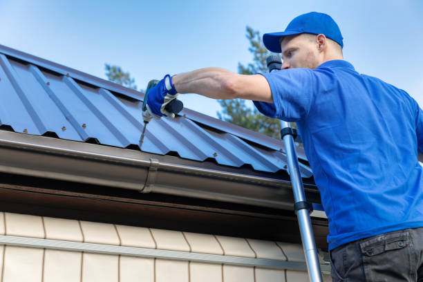 Best Skylight Installation and Repair  in La Mesilla, NM