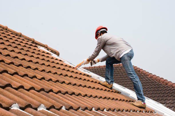 Best Green or Eco-Friendly Roofing Solutions  in La Mesilla, NM