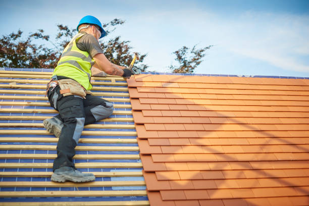 Best Roof Coating and Sealing  in La Mesilla, NM